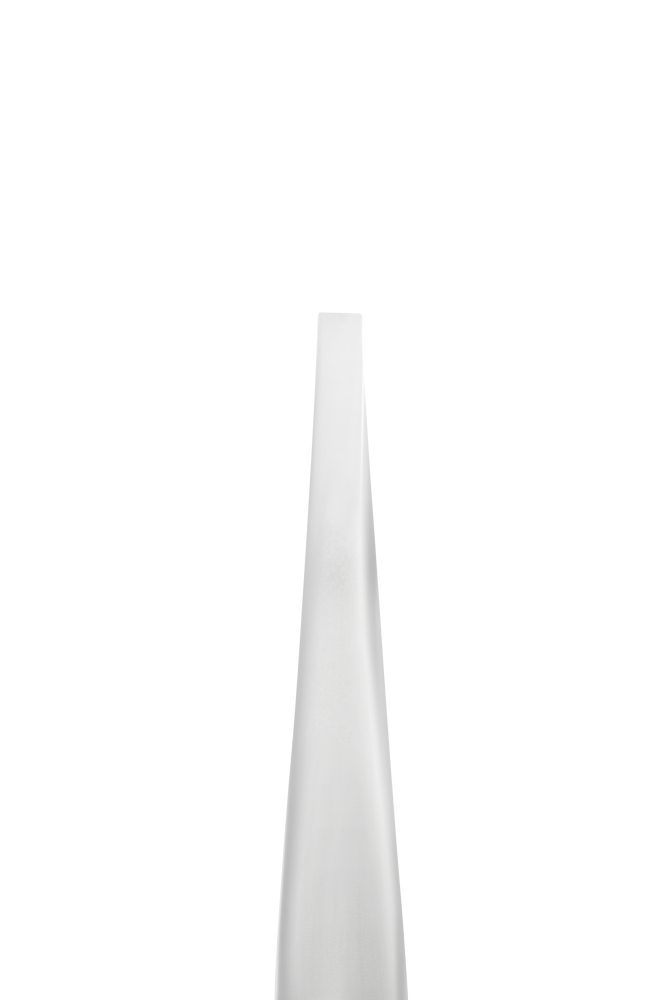 Eyebrow tweezers EXPERT 10 TYPE 2 (straight) image 1