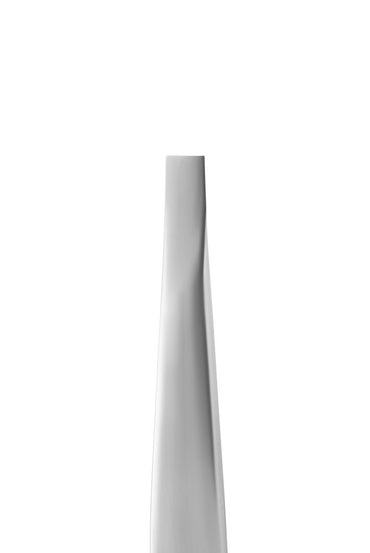 Eyebrow tweezers EXPERT 10 TYPE 1 (wide straight) image 1