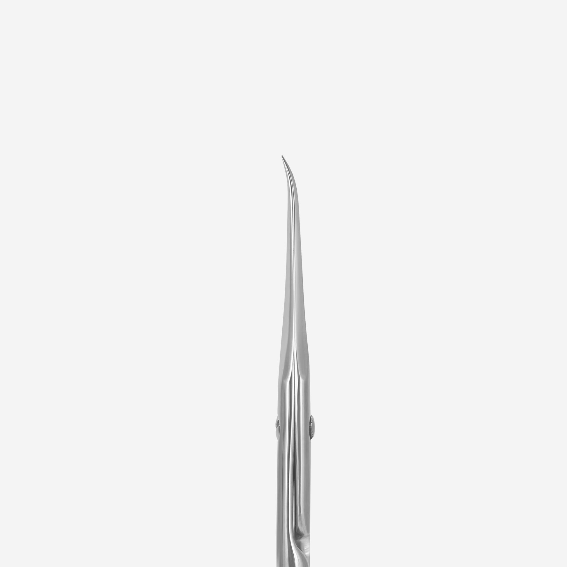 Professional cuticle scissors with hook Staleks Pro Exclusive 21 Type 2 (Magnolia) image 1