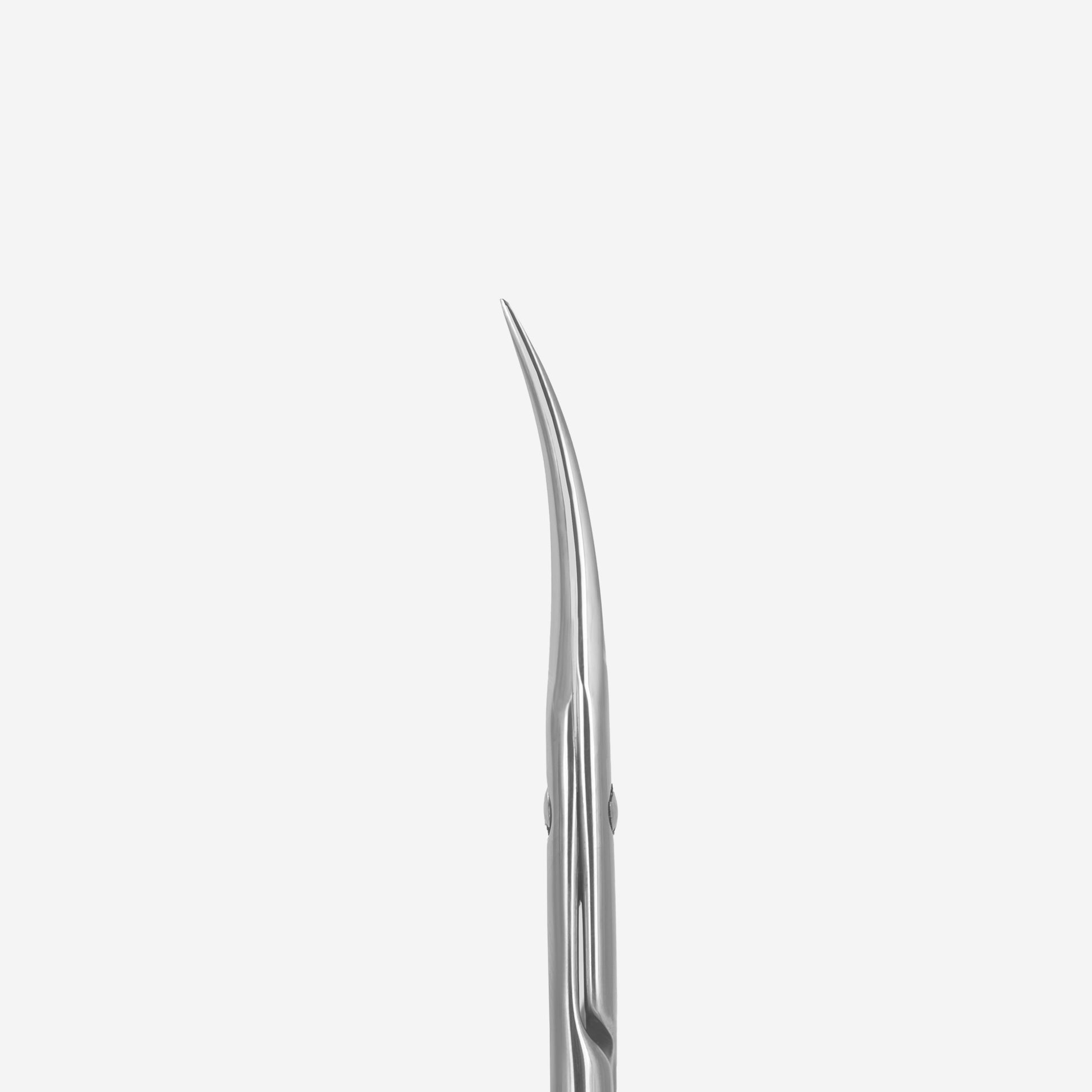 Professional cuticle scissors Staleks Pro Exclusive 22 Type 2 (Magnolia) image 1