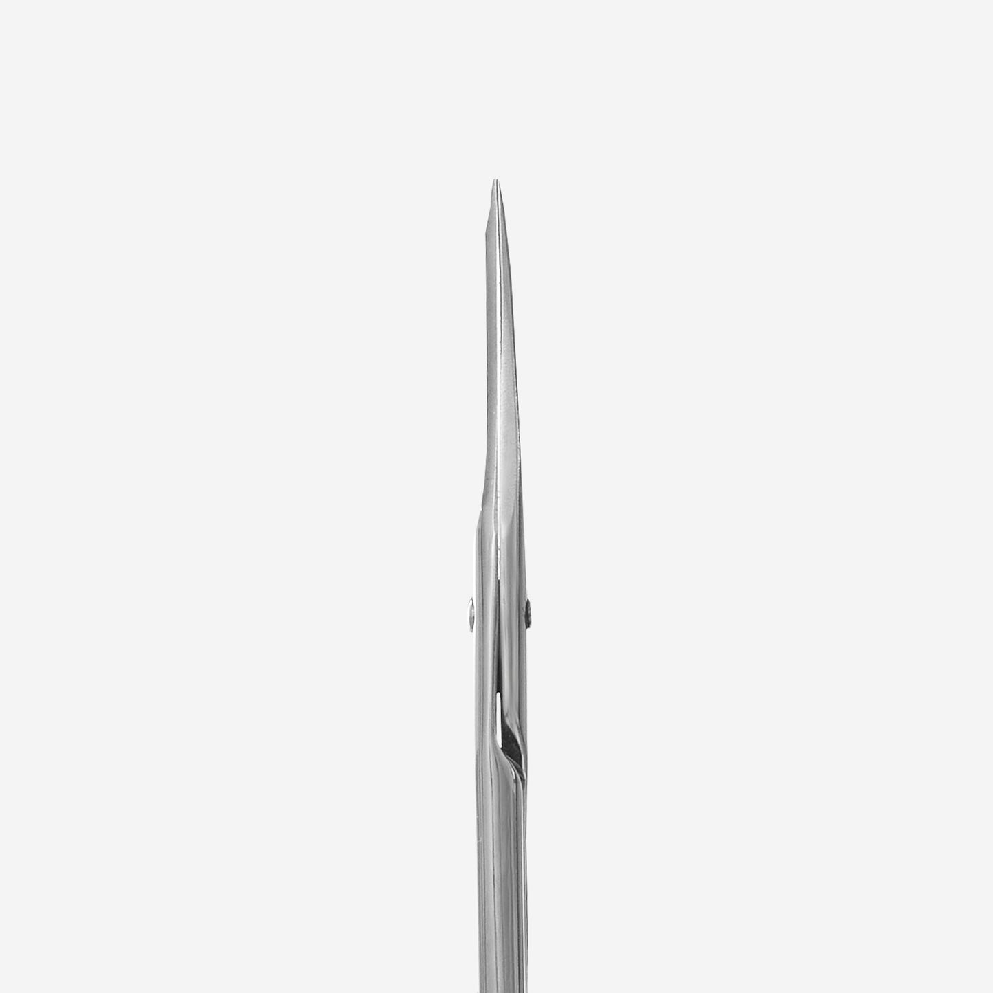 Straight multi-purpose scissors Staleks Classic 31 Type 1 image 2